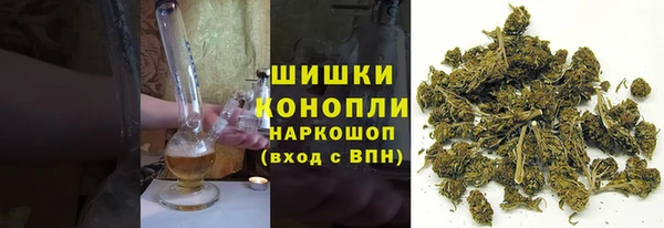 ПСИЛОЦИБИНОВЫЕ ГРИБЫ Белоозёрский