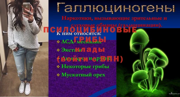 ПСИЛОЦИБИНОВЫЕ ГРИБЫ Белоозёрский