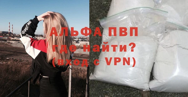 ПСИЛОЦИБИНОВЫЕ ГРИБЫ Белоозёрский