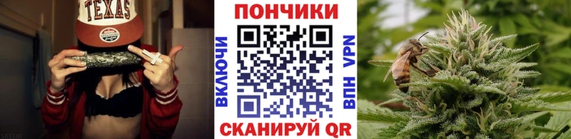 Шишки марихуана марихуана darknet официальный сайт Сердобск
